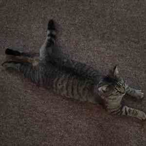 Meet your Posher, Teri